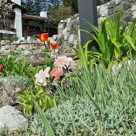 Vakantiehuis Alpenchalet Zum Jeremia *