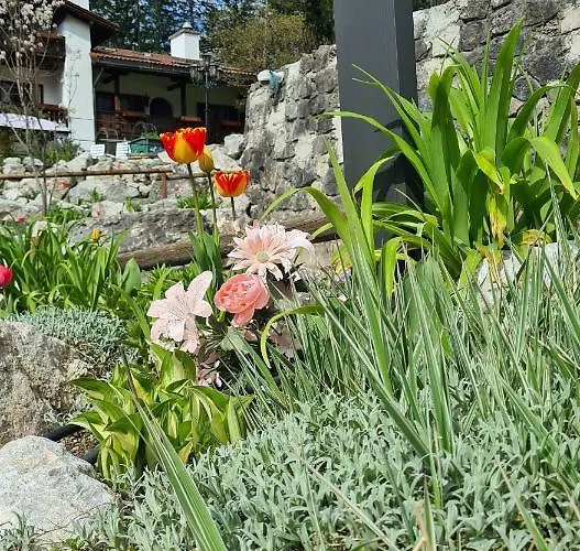 Holiday home Alpenchalet Zum Jeremia *